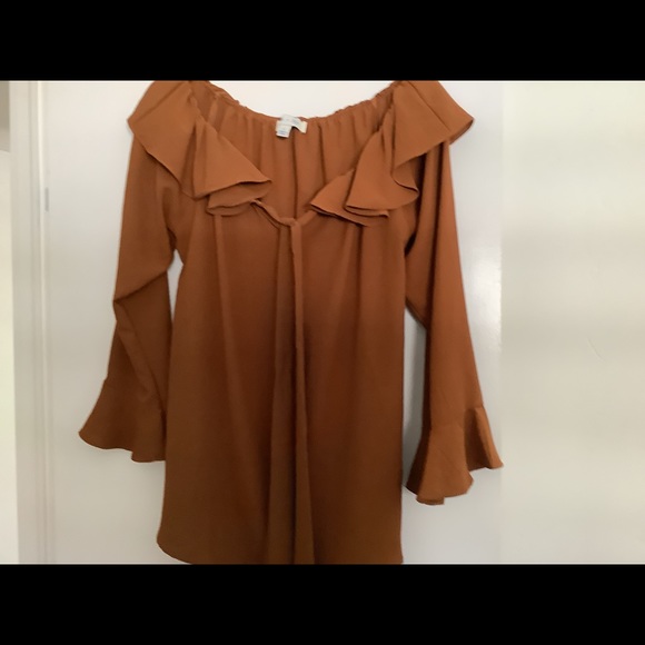 She & Sky rust colored blouse size L - Picture 5 of 10